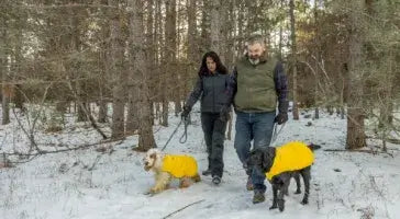The Best Way to Keep Dogs Warm This Winter