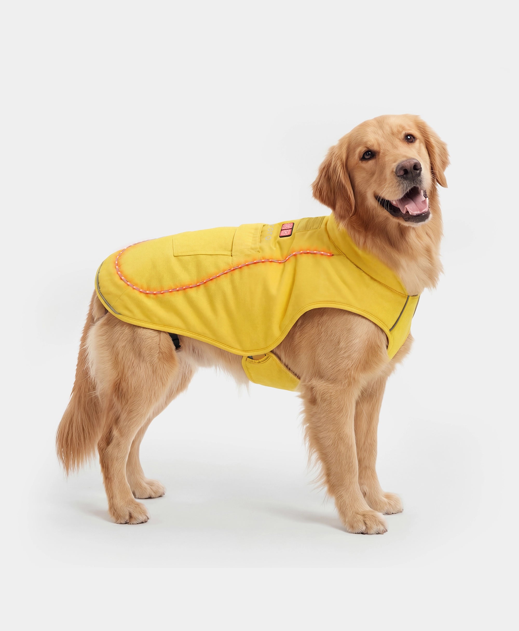 Koldpwoof 4-Zone Heated Dog Vest w/ LED Lights, Thumbnail 15