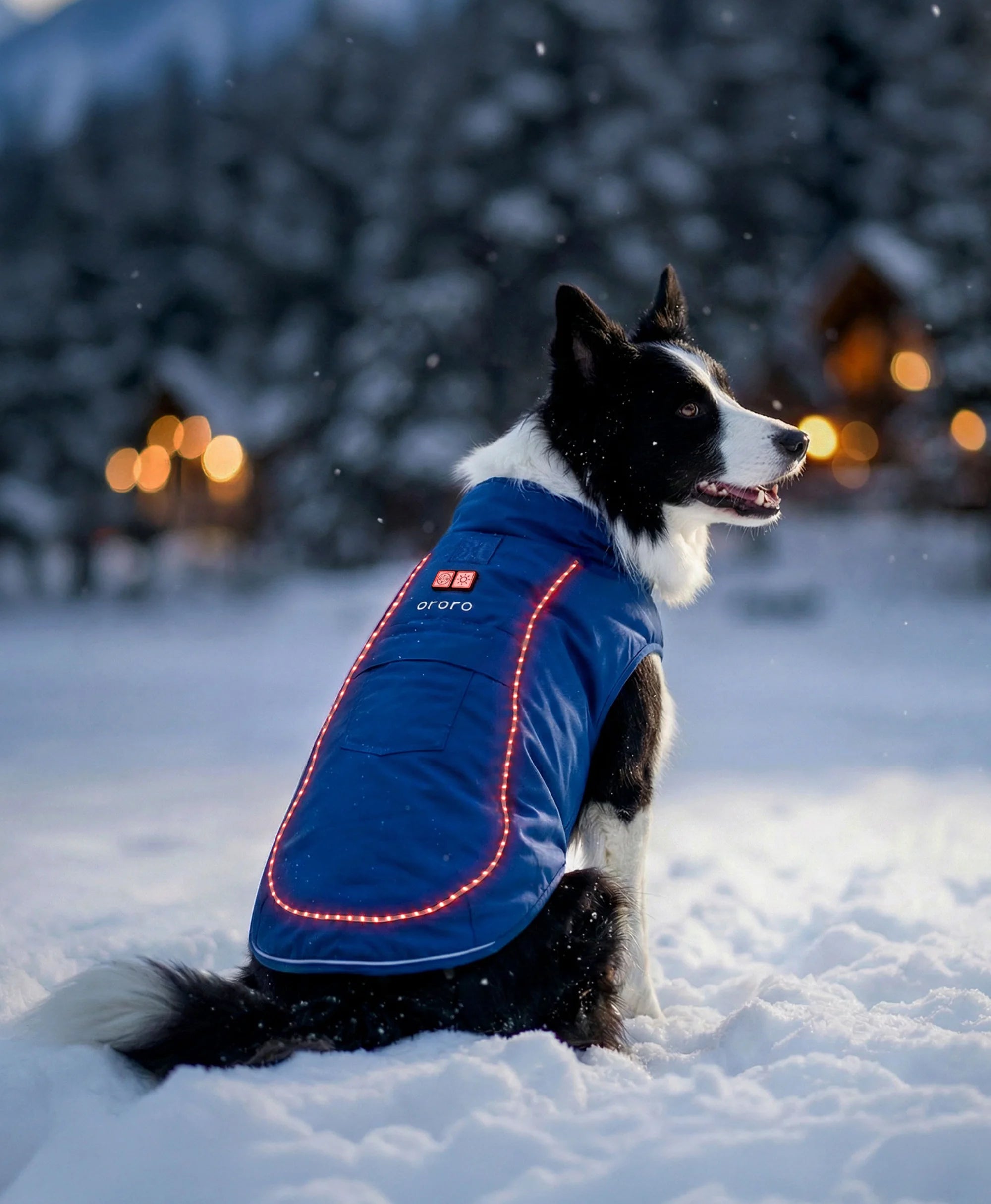 KOLDPWOOF 4-Zone Heated Dog Vest w/ LED Lights