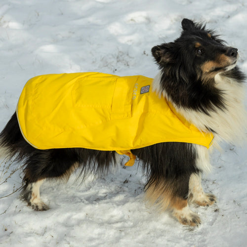 Koldpwoof Heated Dog Vest