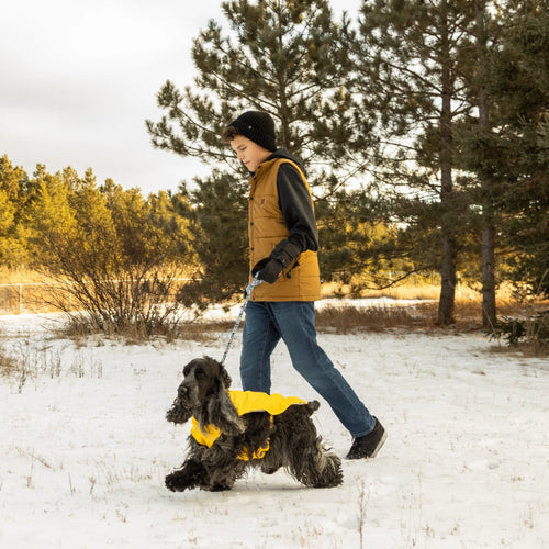 Koldpwoof Heated Dog Vest